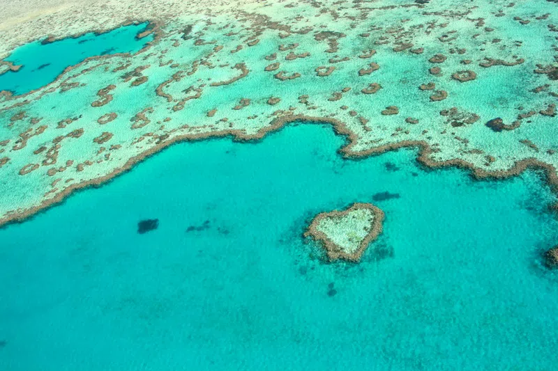 Count down is on to the Great Barrier Reef Festival