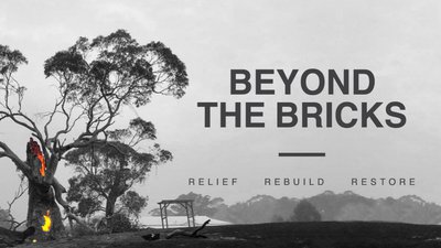 Beyond The Bricks cover