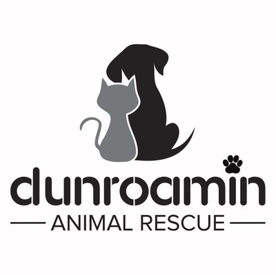 Caring for Our Community: Supporting Dunroamin Animal Rescue cover