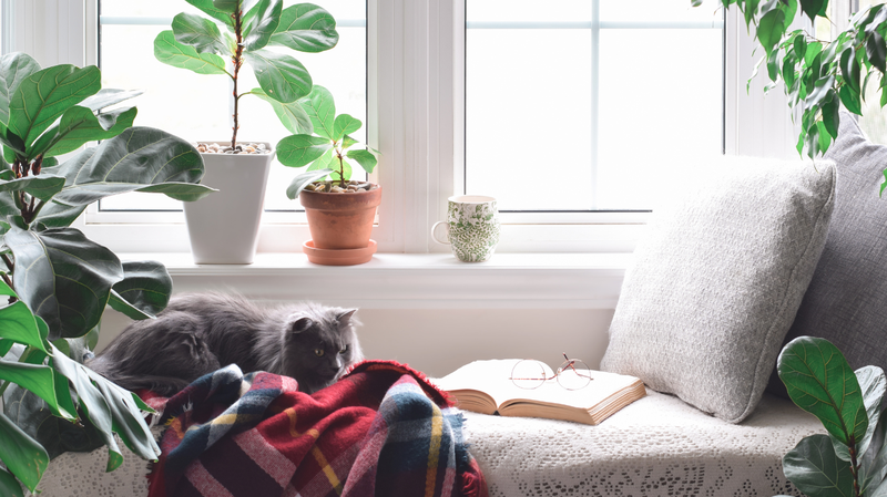 Reading nook summer