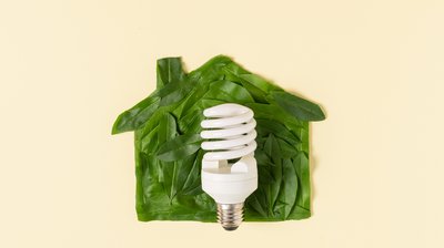 Going Green in Property Management: Eco-Friendly Tips for Landlords and Tenants cover