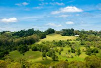 Kyogle Property Market Update 1st Half 2025