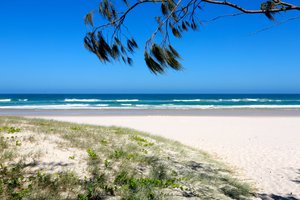 Tweed Coast Property Market Update 2nd Half 2024 cover