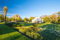 Bendigo Property Market Update 1st Half 2025