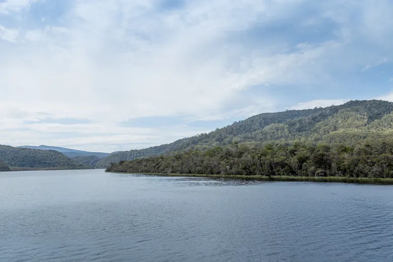Derwent Valley Property Market Update 1st Half 2025