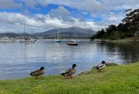 Glenorchy Property Market Update 2nd Half 2025