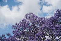 Nundah Property Market Update 1st Half 2025