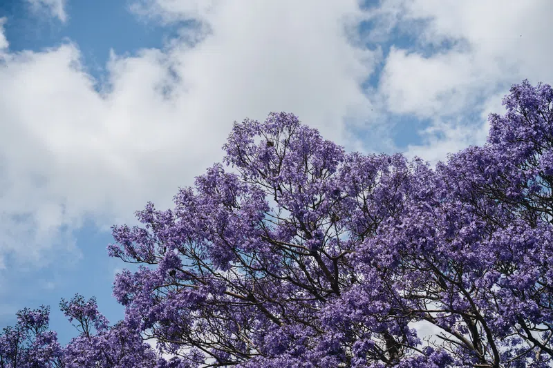 Nundah Property Market Update 2nd Half 2024