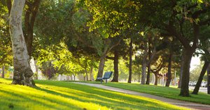 Kogarah Property Market Update 1st Half 2025 cover
