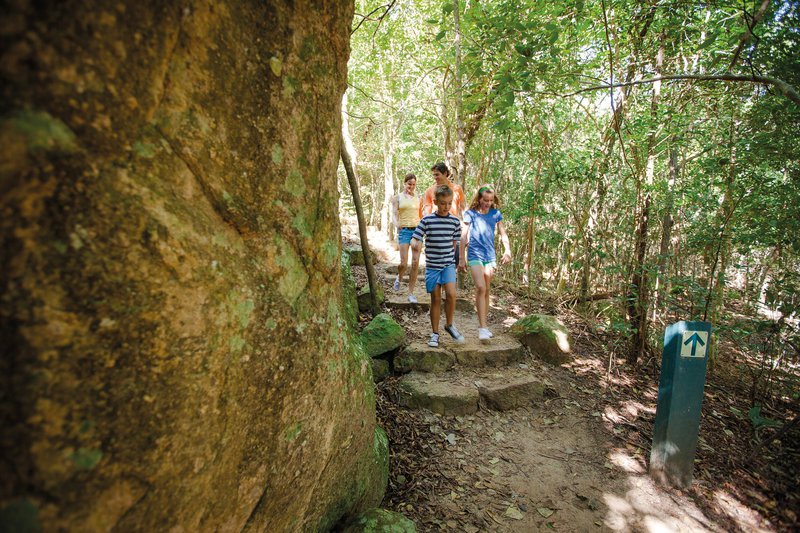 Airlie Beach_Coarl Beach Bush Walk_Family_MediumRes.jpg