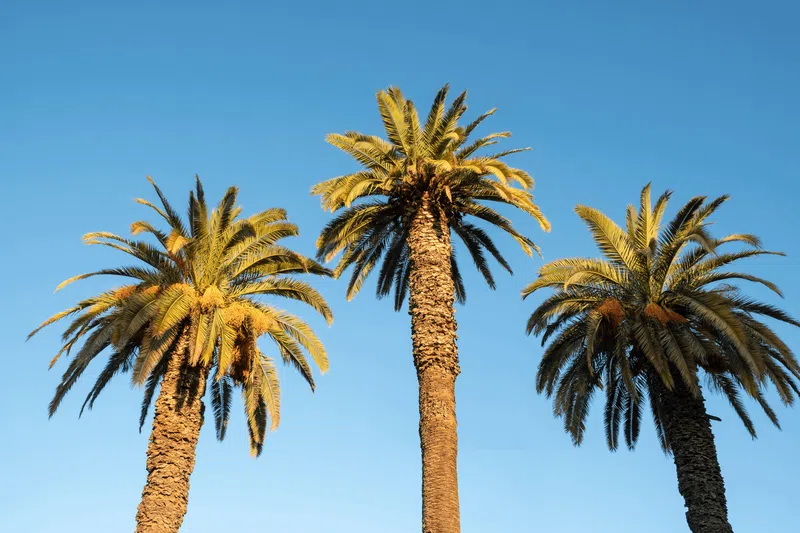 Beverly Hills Property Market Update 2nd Half 2024