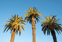 Beverly Hills Property Market Update 1st Half 2025