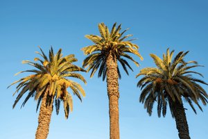 Beverly Hills Property Market Update 2nd Half 2024 cover