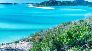 Whitsundays Property Market Update 1st Half 2025 cover