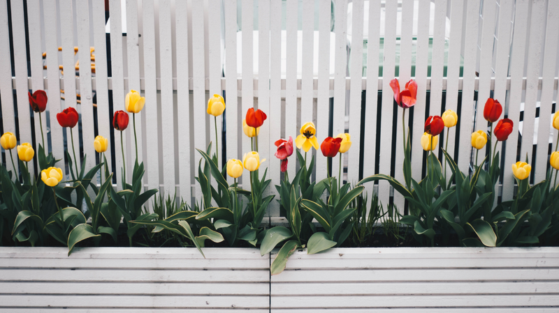 Flower bed garden