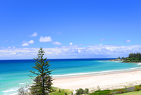 Coolangatta Property Market Update 1st Half 2026