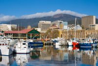 Hobart Property Market Update 1st Half 2025