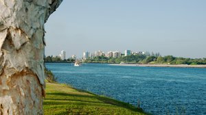 Tweed Heads Property Market Update 1st Half 2025 cover