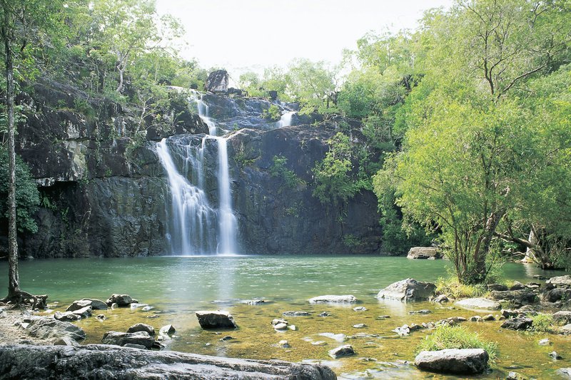 Cedar-Creek-Falls-Conway-National-Park-Whitsundays.JPG