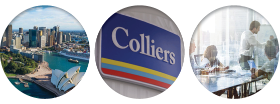 Colliers and PRD Real Estate are a unique force in the real estate industry.png