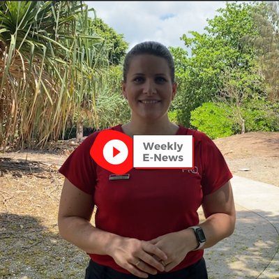 WHITSUNDAY E-NEWS REAL ESTATE: 4th week of October cover