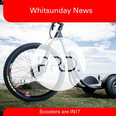 Electric scooters are IN!? cover