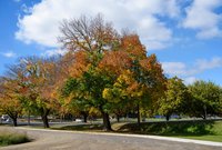 Kyneton Property Market Update 1st Half 2025