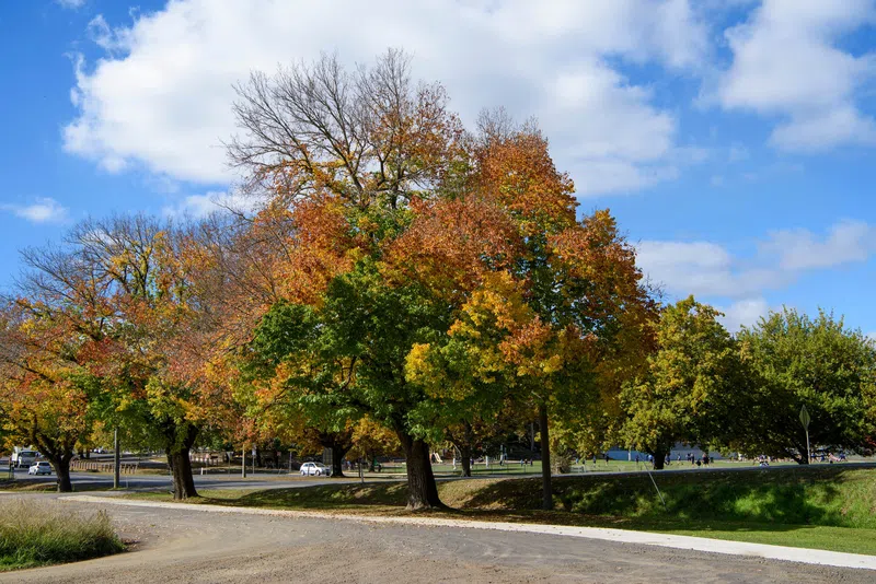 Kyneton Property Market Update 1st Half 2025