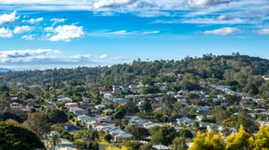 Lismore Property Market Update 1st Half of 2024 cover