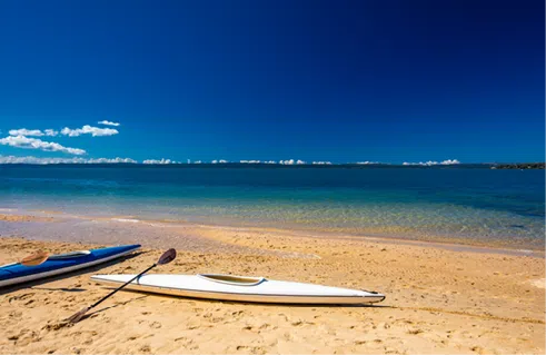 Bayside Property Market Update 2nd Half 2024