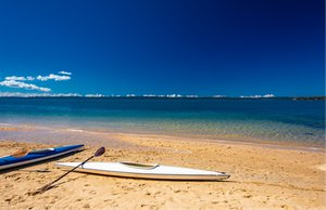 Bayside Property Market Update 2nd Half 2024 cover