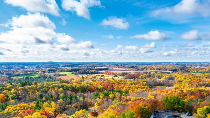 Orange Property Market Update 1st Half 2024