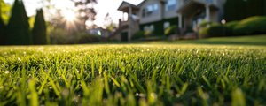 2024 Bendigo Rental Report Q4 cover