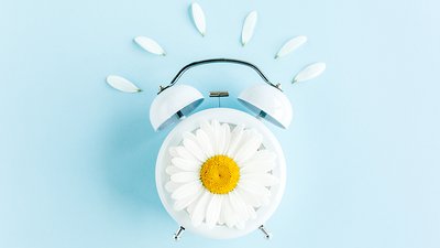 It's Spring, It's Time to Sell cover