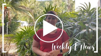 WATCH: 15 July, 2022 Whitsunday Weekly E-News cover