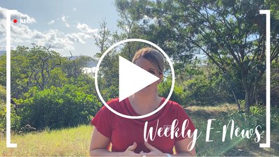 WATCH: 24 June, 2022 Whitsunday Weekly E-News cover