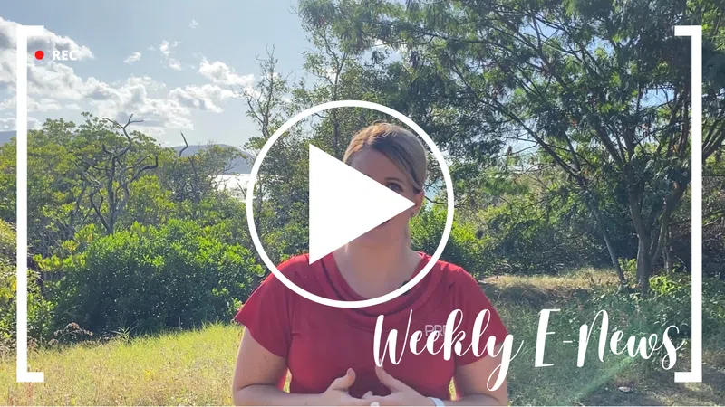 WATCH: 24 June, 2022 Whitsunday Weekly E-News