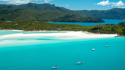The whales have arrived here in the Whitsundays! cover