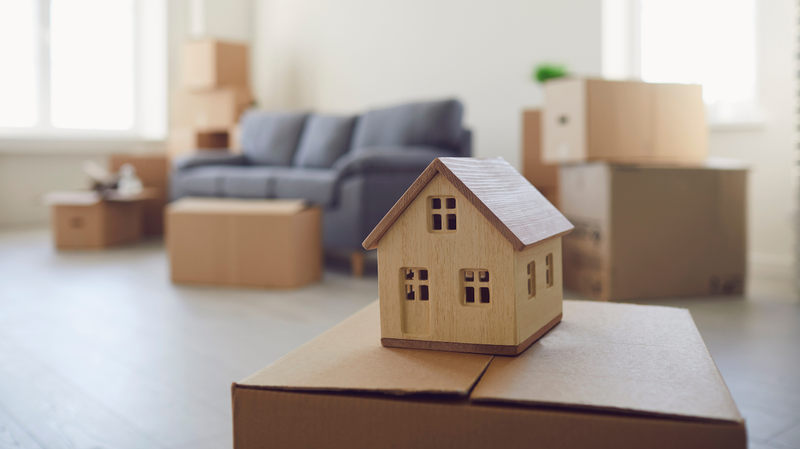 Renting and Buying property.png