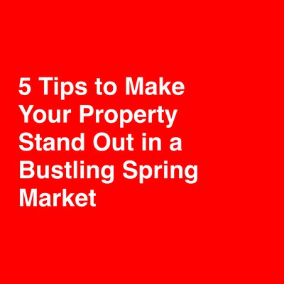 5 Tips to Make Your Property Stand Out in a Bustling Spring Market cover