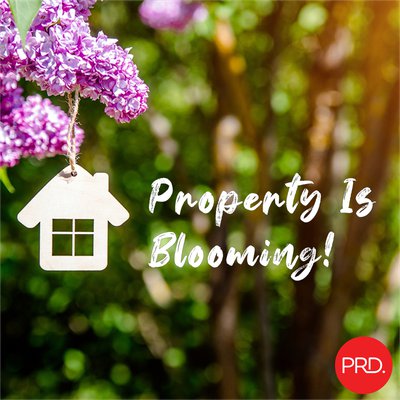 Northern Rivers Spring Property Update cover