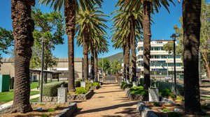 Tamworth Lifestyle Report 2024 cover