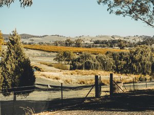 Tumbarumba Property Market Update 2nd Half 2024 cover