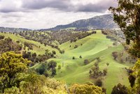 Upper Hunter Property Market Update 1st Half 2025