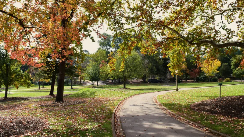 Wagga Property Market Update 1st Half 2024