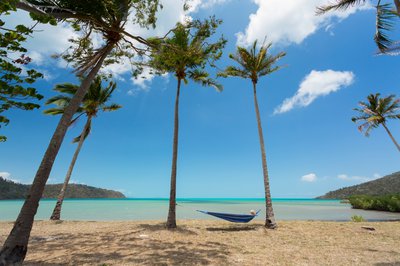 Holiday-makers turn to the Whitsundays in record numbers. cover