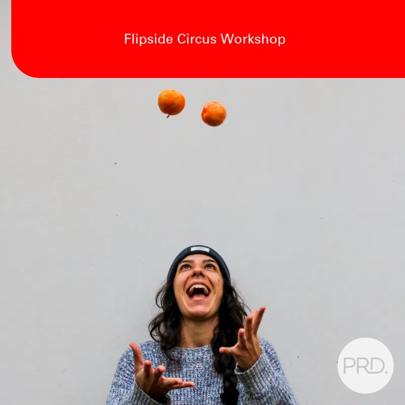 Flipside Circus Workshop