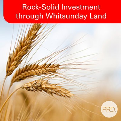 Rock-Solid Investment through Whitsunday Land cover