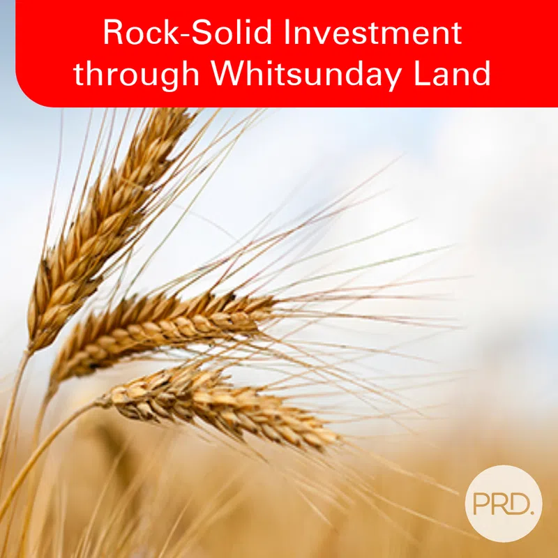 Rock-Solid Investment through Whitsunday Land
