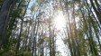 mount_helen_35.jpg